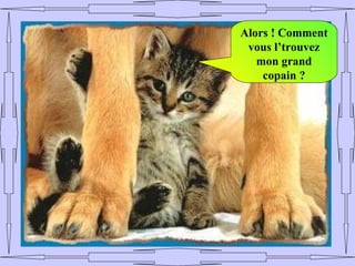 Alors ! Comment
 vous l’trouvez
   mon grand
    copain ?
 