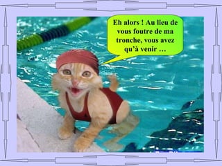 Eh alors ! Au lieu de
 vous foutre de ma
 tronche, vous avez
    qu’à venir …
 