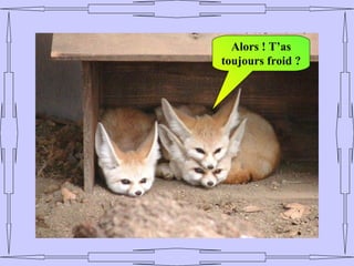 Alors ! T’as
toujours froid ?
 