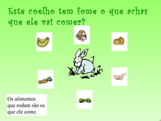 Este coelho tem fome o que achas que ele vai comer? Os alimentos  que rodam são os  que ele come. 