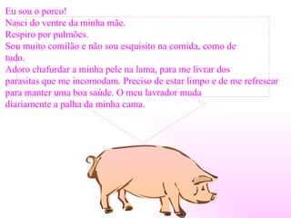 Eu sou o porco! Nasci do ventre da minha mãe. Respiro por pulmões. Sou muito comilão e não sou esquisito na comida, como de  tudo.  Adoro chafurdar a minha pele na lama, para me livrar dos  parasitas que me incomodam. Preciso de estar limpo e de me refrescar  para manter uma boa saúde. O meu lavrador muda  diariamente a palha da minha cama.  