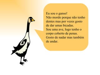 Eu sou o ganso! Não mordo porque não tenho dentes mas por vezes gosto de dar umas bicadas. Sou uma ave, logo tenho o corpo coberto de penas. Gosto de nadar mas também de andar. 