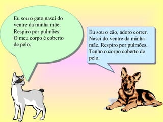 Eu sou o cão, adoro correr. Nasci do ventre da minha mãe. Respiro por pulmões. Tenho o corpo coberto de pelo. Eu sou o gato,nasci do ventre da minha mãe. Respiro por pulmões. O meu corpo é coberto de pelo.  