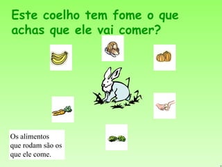 Este coelho tem fome o que achas que ele vai comer? Os alimentos  que rodam são os  que ele come. 
