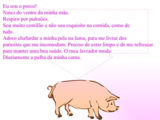Eu sou o porco! Nasci do ventre da minha mãe. Respiro por pulmões. Sou muito comilão e não sou esquisito na comida, como de  tudo.  Adoro chafurdar a minha pele na lama, para me livrar dos  parasitas que me incomodam. Preciso de estar limpo e de me refrescar  para manter uma boa saúde. O meu lavrador muda  Diariamente a palha da minha cama.  