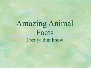 Amazing Animal Facts I bet ya dint know 
