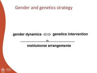 Gender success stories