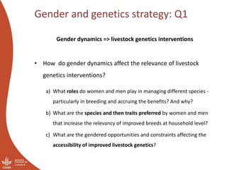 Gender success stories