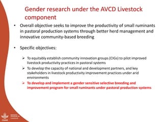 Gender success stories