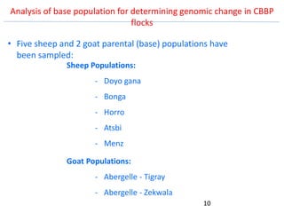 Genetics flagship ICARDA activities