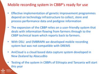 Genetics flagship ICARDA activities