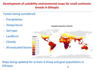 Genetics flagship ICARDA activities