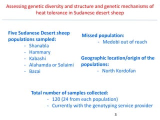 Genetics flagship ICARDA activities