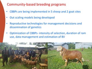 Genetics flagship ICARDA activities