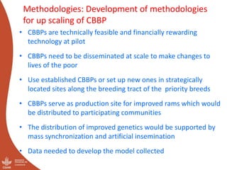 Genetics flagship ICARDA activities