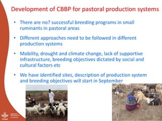 Genetics flagship ICARDA activities