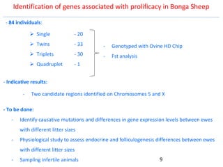 Genetics flagship ICARDA activities