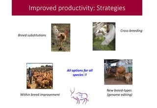 Animal genetic flagship: CRP2 Planning meeting 