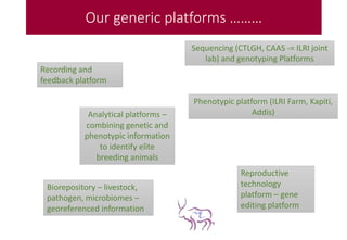 Animal genetic flagship: CRP2 Planning meeting 