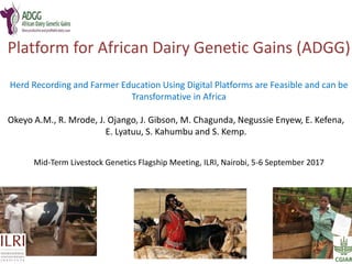 Platform for African Dairy Genetic Gains (ADGG)
Herd Recording and Farmer Education Using Digital Platforms are Feasible and can be
Transformative in Africa
Okeyo A.M., R. Mrode, J. Ojango, J. Gibson, M. Chagunda, Negussie Enyew, E. Kefena,
E. Lyatuu, S. Kahumbu and S. Kemp.
Mid-Term Livestock Genetics Flagship Meeting, ILRI, Nairobi, 5-6 September 2017
 