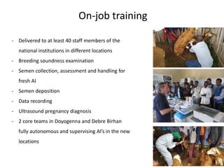 On-job training
- Delivered to at least 40 staff members of the
national institutions in different locations
- Breeding soundness examination
- Semen collection, assessment and handling for
fresh AI
- Semen deposition
- Data recording
- Ultrasound pregnancy diagnosis
- 2 core teams in Doyogenna and Debre Birhan
fully autonomous and supervising AI’s in the new
locations
 
