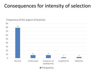 Consequences for intensity of selection
79
8 8
2 3
0
10
20
30
40
50
60
70
80
90
Normal Undersized Suspicion of
epididymitis
Cryptochrid Adhesion
Frequency of the aspect of testicles
Frequency
 