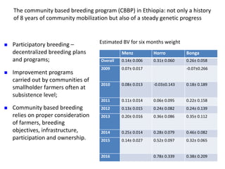The community based breeding program (CBBP) in Ethiopia: not only a history
of 8 years of community mobilization but also of a steady genetic progress
 Participatory breeding –
decentralized breeding plans
and programs;
 Improvement programs
carried out by communities of
smallholder farmers often at
subsistence level;
 Community based breeding
relies on proper consideration
of farmers, breeding
objectives, infrastructure,
participation and ownership.
Menz Horro Bonga
Overall 0.14± 0.006 0.31± 0.060 0.26± 0.058
2009 0.07± 0.017 -0.07±0.266
2010 0.08± 0.013 -0.03±0.143 0.18± 0.189
2011 0.11± 0.014 0.06± 0.095 0.22± 0.158
2012 0.13± 0.015 0.24± 0.082 0.24± 0.139
2013 0.20± 0.016 0.36± 0.086 0.35± 0.112
2014 0.25± 0.014 0.28± 0.079 0.46± 0.082
2015 0.14± 0.027 0.52± 0.097 0.32± 0.065
2016 0.78± 0.339 0.38± 0.209
Estimated BV for six months weight
 