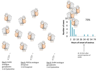 Reproductive interventions for more efficient sheep and goats breeding programs 