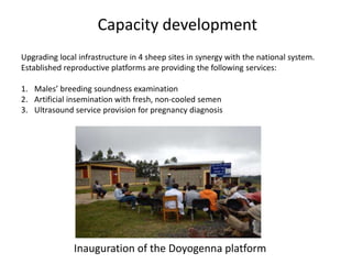 Reproductive interventions for more efficient sheep and goats breeding programs 