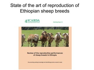Reproductive interventions for more efficient sheep and goats breeding programs 