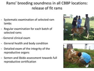 Reproductive interventions for more efficient sheep and goats breeding programs 