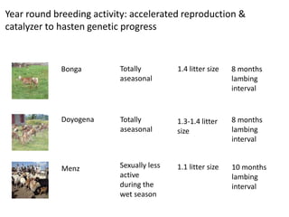 Reproductive interventions for more efficient sheep and goats breeding programs 