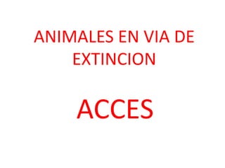 ANIMALES EN VIA DE
EXTINCION

ACCES

 