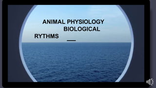 ANIMAL PHYSIOLOGY
BIOLOGICAL
RYTHMS
 