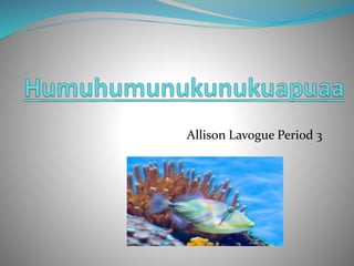 Allison Lavogue Period 3
 