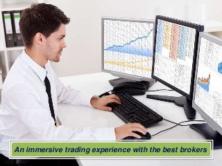 An immersive trading experience with the best brokers
 