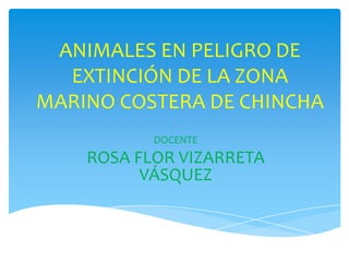 ANIMALES EN PELIGRO DE
  EXTINCIÓN DE LA ZONA
MARINO COSTERA DE CHINCHA
           DOCENTE
    ROSA FLOR VIZARRETA
          VÁSQUEZ
 