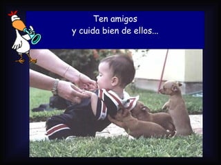 Ten amigos y cuida bien de ellos... 