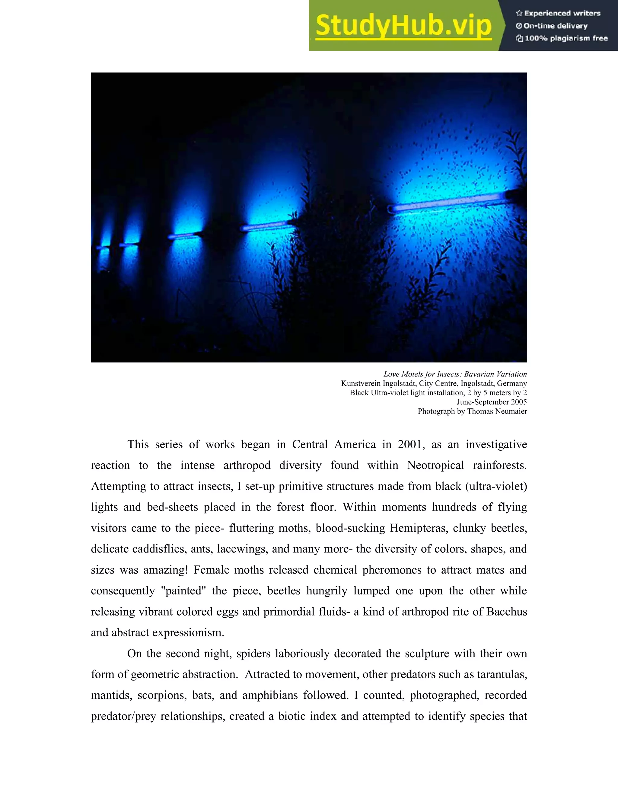 Love Motels for Insects: Bavarian Variation
Kunstverein Ingolstadt, City Centre, Ingolstadt, Germany
Black Ultra-violet light installation, 2 by 5 meters by 2
June-September 2005
Photograph by Thomas Neumaier
This series of works began in Central America in 2001, as an investigative
reaction to the intense arthropod diversity found within Neotropical rainforests.
Attempting to attract insects, I set-up primitive structures made from black (ultra-violet)
lights and bed-sheets placed in the forest floor. Within moments hundreds of flying
visitors came to the piece- fluttering moths, blood-sucking Hemipteras, clunky beetles,
delicate caddisflies, ants, lacewings, and many more- the diversity of colors, shapes, and
sizes was amazing! Female moths released chemical pheromones to attract mates and
consequently "painted" the piece, beetles hungrily lumped one upon the other while
releasing vibrant colored eggs and primordial fluids- a kind of arthropod rite of Bacchus
and abstract expressionism.
On the second night, spiders laboriously decorated the sculpture with their own
form of geometric abstraction. Attracted to movement, other predators such as tarantulas,
mantids, scorpions, bats, and amphibians followed. I counted, photographed, recorded
predator/prey relationships, created a biotic index and attempted to identify species that
 