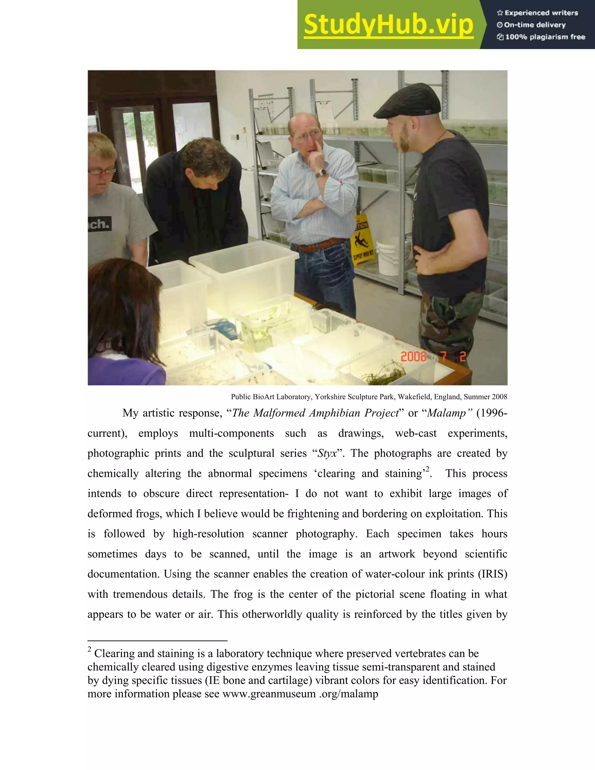 Public BioArt Laboratory, Yorkshire Sculpture Park, Wakefield, England, Summer 2008
My artistic response, “The Malformed Amphibian Project” or “Malamp” (1996-
current), employs multi-components such as drawings, web-cast experiments,
photographic prints and the sculptural series “Styx”. The photographs are created by
chemically altering the abnormal specimens ‘clearing and staining’2
. This process
intends to obscure direct representation- I do not want to exhibit large images of
deformed frogs, which I believe would be frightening and bordering on exploitation. This
is followed by high-resolution scanner photography. Each specimen takes hours
sometimes days to be scanned, until the image is an artwork beyond scientific
documentation. Using the scanner enables the creation of water-colour ink prints (IRIS)
with tremendous details. The frog is the center of the pictorial scene floating in what
appears to be water or air. This otherworldly quality is reinforced by the titles given by
2
Clearing and staining is a laboratory technique where preserved vertebrates can be
chemically cleared using digestive enzymes leaving tissue semi-transparent and stained
by dying specific tissues (IE bone and cartilage) vibrant colors for easy identification. For
more information please see www.greanmuseum .org/malamp
 