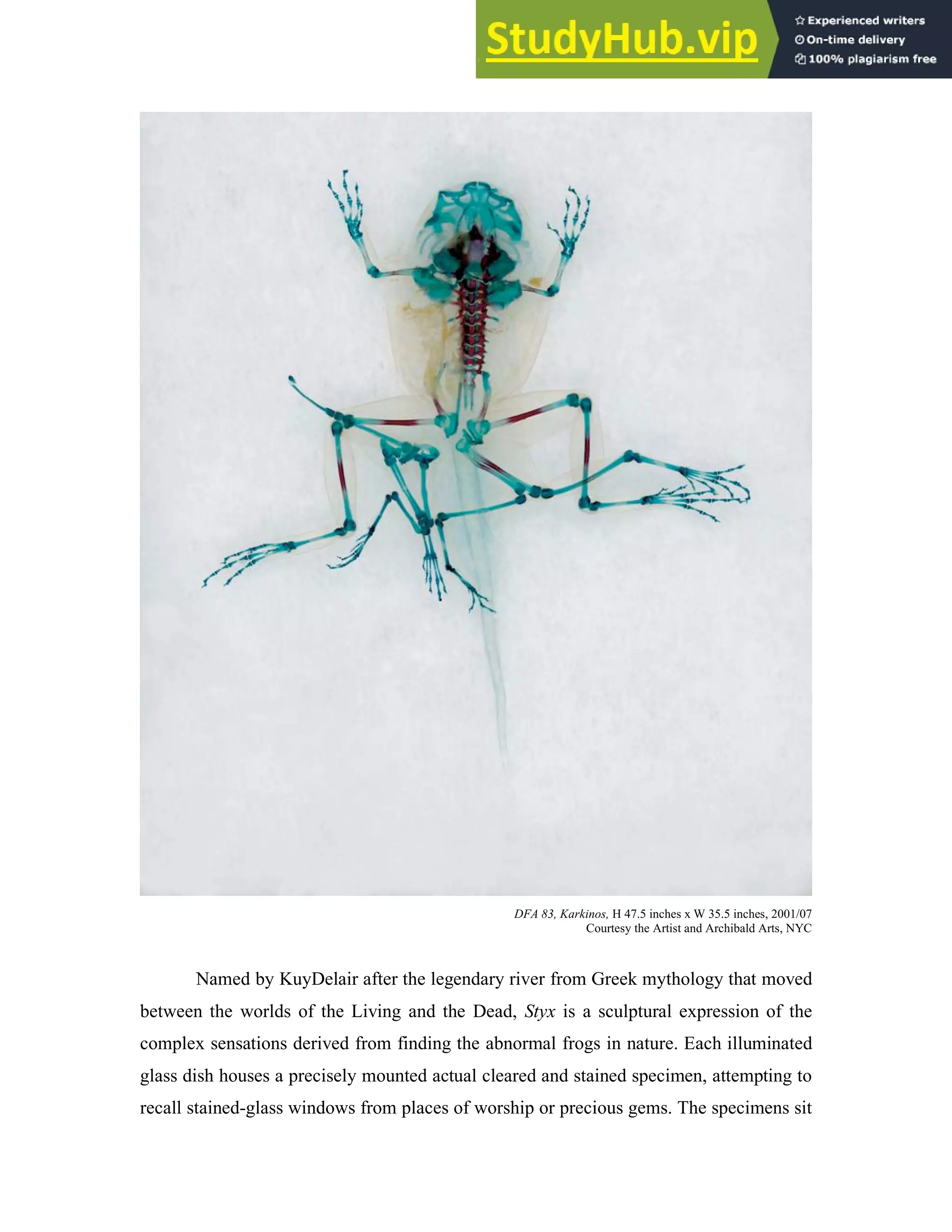 DFA 83, Karkinos, H 47.5 inches x W 35.5 inches, 2001/07
Courtesy the Artist and Archibald Arts, NYC
Named by KuyDelair after the legendary river from Greek mythology that moved
between the worlds of the Living and the Dead, Styx is a sculptural expression of the
complex sensations derived from finding the abnormal frogs in nature. Each illuminated
glass dish houses a precisely mounted actual cleared and stained specimen, attempting to
recall stained-glass windows from places of worship or precious gems. The specimens sit
 