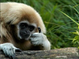 An in-depth look at jQuery UI