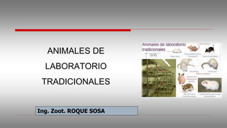 Ing. Zoot. ROQUE SOSA
ANIMALES DE
LABORATORIO
TRADICIONALES
 