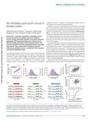 nature neuroscience  VOLUME 20 | NUMBER 3 | MARCH 2017	 389
B r i e f com mu n i cat i on s
An important question in systems neuroscience is how behavioral
state modulates the processing of sensory signals in large networks
of neurons. To gain further insights into the impact of behavioral
state on interactions between different cell types in local cortical
circuitry, we employed a new approach to functional circuit
mapping based on examining the covariance of correlation
coefficients between responses of genetically defined neurons
and changes in locomotion and pupil diameter.
Responses of neurons expressing the calcium indicator GCaMP6
(ref. 1) were measured in alert, head-fixed mice in a premotor region
of mouse frontal cortex referred to as the frontal association area (FrA,
2.8 mm from bregma and 0.75 mm from the midline (Supplementary
Fig. 1). We chose this region because the estimation of correlation
coefficients is facilitated when cells show elevated spontaneous acti­
vity, and pyramidal neurons in this region show spontaneous activity
that is substantially higher than observed in primary sensory cortices.
Behavior was monitored by recording pupil diameter and running
speed while imaging.
To measure the degree of association between behavior and neural
response, we computed correlation coefficients between the activity
of pyramidal cells in layer 2/3 with pupil size and running speed,
which reflect the level of arousal2–5. We found that 33% of excitatory
neurons imaged were significantly (P < 0.0001) negatively correlated
to both pupil diameter and running, while 43% were significantly
positively correlated with both measures (Fig. 1a–c). Similar response
profiles were observed using GCaMP6f (Supplementary Fig. 2), and
longitudinal imaging showed that neurons stably maintain the sign
of their coefficients (Fig. 1d).
Suppression of layer 2/3 pyramidal neurons during running has not
been reported in visual cortex2,5–8. In agreement with these studies,
An inhibitory pull–push circuit in
frontal cortex
Pablo Garcia-Junco-Clemente1,2, Taruna Ikrar3, Elaine Tring1,
Xiangmin Xu3, Dario L Ringach1,4 & Joshua T Trachtenberg1
Push–pull is a canonical computation of excitatory cortical
circuits. By contrast, we identify a pull–push inhibitory
circuit in frontal cortex that originates in vasoactive intestinal
polypeptide (VIP)-expressing interneurons. During arousal,
VIP cells rapidly and directly inhibit pyramidal neurons; VIP
cells also indirectly excite these pyramidal neurons via parallel
disinhibition. Thus, arousal exerts a feedback pull–push
influence on excitatory neurons—an inversion of the canonical
push–pull of feedforward input.
1Department of Neurobiology, David Geffen School of Medicine, University of California, Los Angeles, Los Angeles, California, USA. 2Instituto de Biomedicina de
Sevilla, IBiS, Hospital Universitario Virgen del Rocío/CSIC/Universidad de Sevilla and Departamento de Fisiología Médica y Biofísica, Universidad de Sevilla, and
CIBERNED, Seville, Spain. 3Department of Anatomy & Neurobiology, University of California, Irvine, Irvine, California, USA. 4Department of Psychology, University of
California, Los Angeles, Los Angeles, California, USA. Correspondence should be addressed to P.G.-J.-C. (pgarciajunco@gmail.com).
Received 9 August 2016; accepted 16 December 2016; published online 23 January 2017; doi:10.1038/nn.4483
0 2,000 4,000 6,000 8,000 10,000
Frame number
Pyr–neurons
0 2,000 4,000 6,000 8,000 10,000
Frame number
Pyr+neurons
a
0 2,000 4,000 6,000 8,000 10,000
Frame number
Low correlation neurons
4s.d.
1
0.6
0.2
–0.2
–0.6
–1
–1 0.6–0.6 –0.2 10.2
Correlation coefficient of
pupil to signals
Correlationcoefficient
ofballtosignals
Pyr neurons
Pyr–
Pyr+
Low
correlation
400
300
200
100
0
–0.5 0 0.5
Correlation coefficient of
running to signals
1
0.8
0.6
0.4
0.2
Cumulativecorrelation
0
1
0.8
0.6
0.4
0.2
Cumulativecorrelation
0
300
200
100
0
–0.5 0 0.5
Correlation coefficient of
pupil to signals
Numberofexccells
Numberofexccells
1
–1
0.2
0.6
–0.2
–0.6
–1 1–0.2–0.6 0.2 0.6
Correlation coefficient of pupil to signals
Correlationcoefficient
ofrunningtosignals
Correlation coefficient of pupil to signals
–0.6 –0.2 0.2 0.6 1
1
0.5
0
0
Cumulativeprobability
Prefrontal cortex
Visual cortex
1
–1
0.2
0.6
–0.2
–0.6
–1 1–0.2–0.6 0.2 0.6
Estimated coefficient: 0.59
Correlationcoefficient
ofpupiltosignals,Day3
Correlation coefficient of pupil to signals, day 1
b
c
d
e
f
©2017NatureAmerica,Inc.,partofSpringerNature.Allrightsreserved.
 