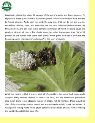 Earth Without Insect An Insect-less Earth: Gauging The Possibilities | PDF