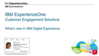 © 2014 International Business Machines Corporation 1
IBM Cloud Solutions
IBM ExperienceOne
Customer Engagement Solutions
What’s new in IBM Digital Experience
 