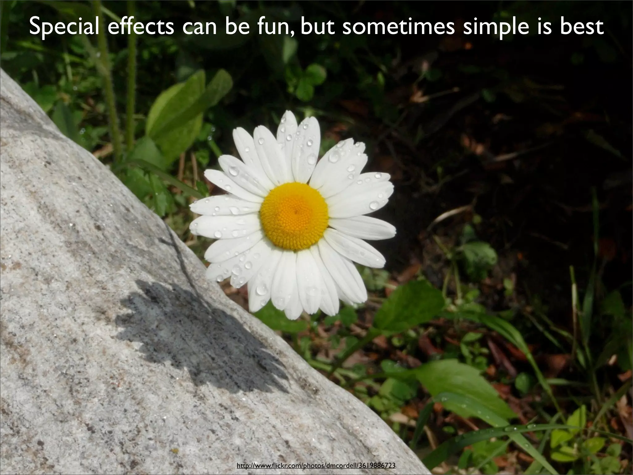 Special effects can be fun, but sometimes simple is best




                    http://www.ﬂickr.com/photos/dmcordell/3619886723
 
