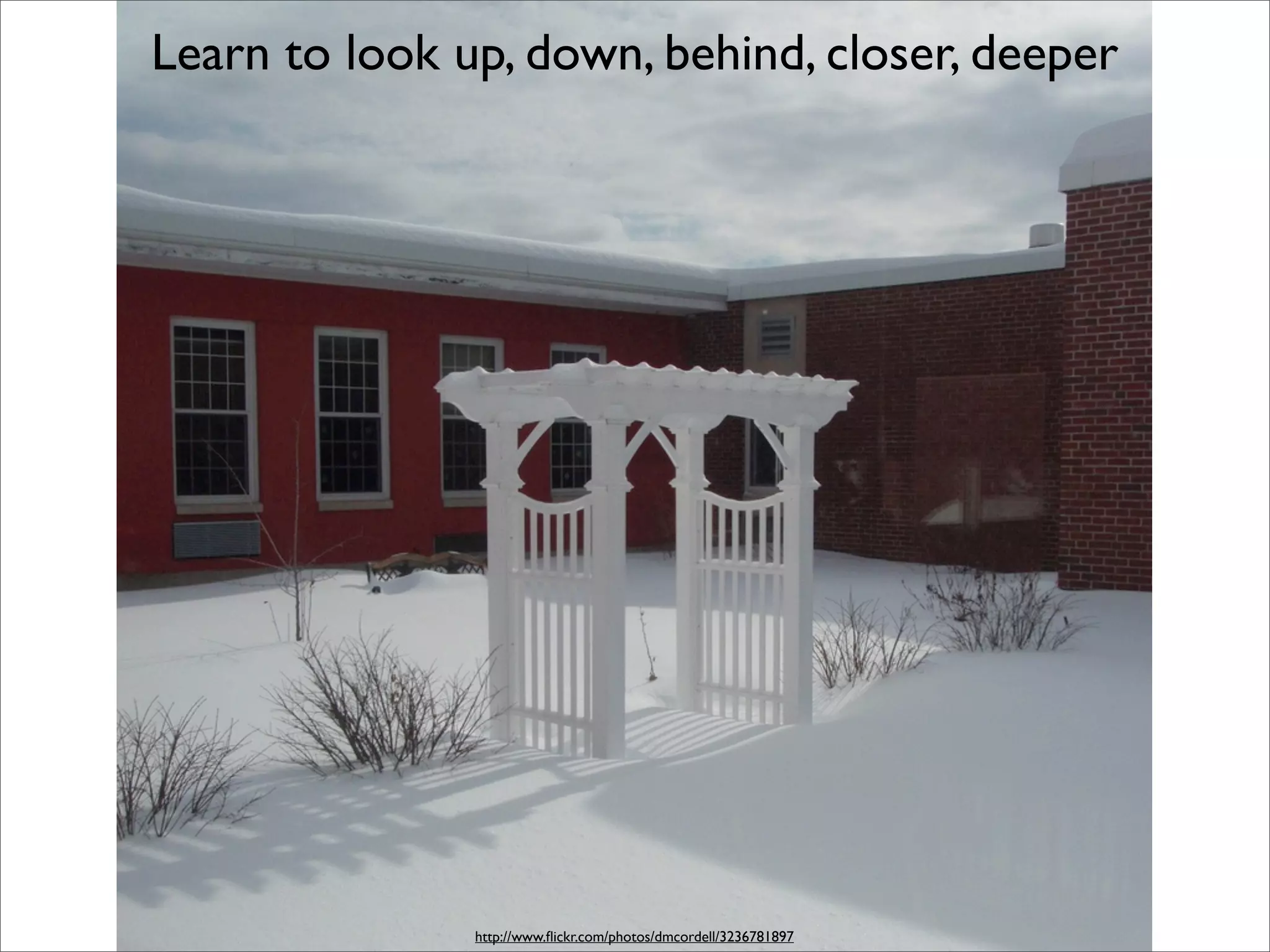 Learn to look up, down, behind, closer, deeper




               http://www.ﬂickr.com/photos/dmcordell/3236781897
 