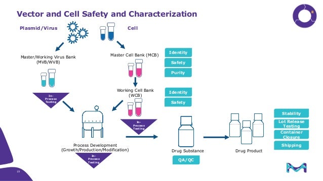 An Integrated Approach To Ensure Viral Vector And Gene Therapy Commer