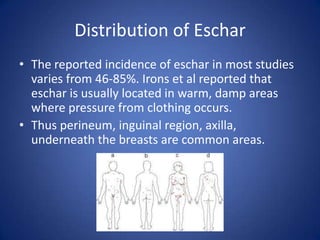 Distribution of Eschar
• The reported incidence of eschar in most studies
  varies from 46-85%. Irons et al reported that
  eschar is usually located in warm, damp areas
  where pressure from clothing occurs.
• Thus perineum, inguinal region, axilla,
  underneath the breasts are common areas.
 